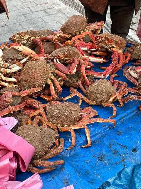 🇲🇦 Casablanca in 24hrs: Seafood Feast & Cheap Moroccan Robes!