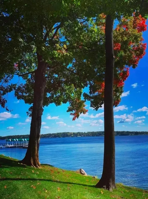 🌿 Galena: A Hidden 19th-Century Gem Near Chicago! 🏡✨​​