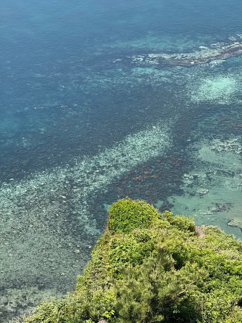 🏝️ Jeju Island 4D3N Guide