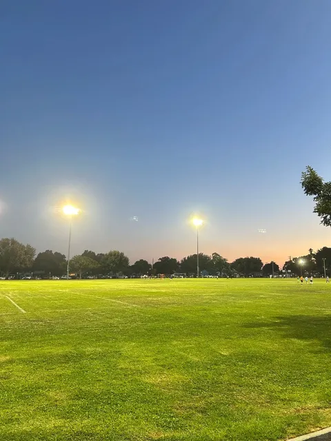 🚶 Going for a Walk in the Park Is the Real Business! 🍃  