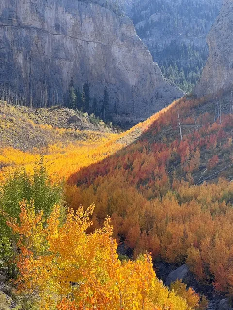 🍁 All of Las Vegas' Autumn is Right Here on This Trail!