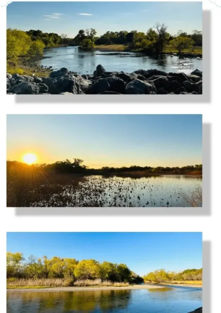 LLELA Nature Preserve in Dallas ❤️