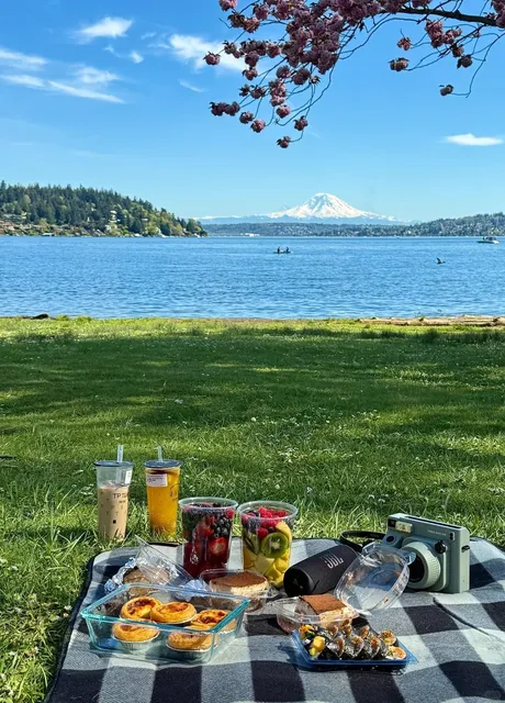 Seattle Picnic & Spring Outing