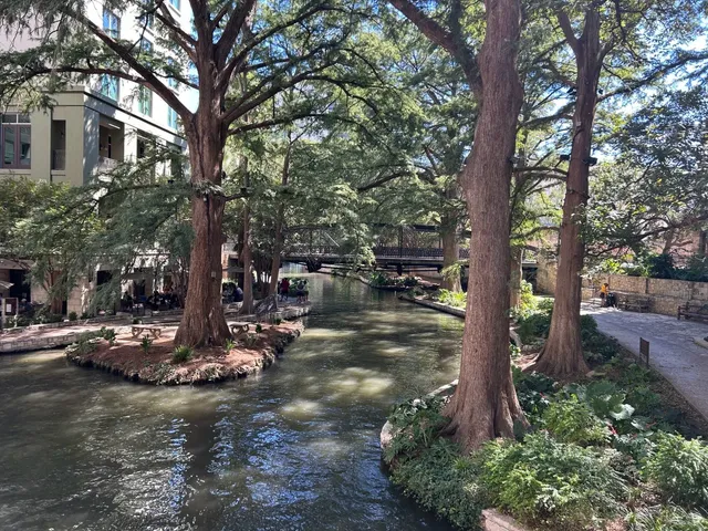 San Antonio Food Review | Domingo Restaurant 🍽️