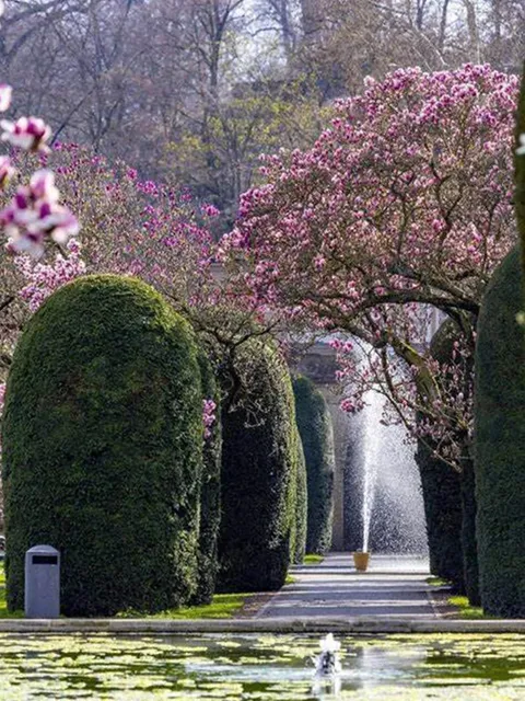 🇩🇪 Stuttgart, Germany | 11 Must-Visit Attractions!