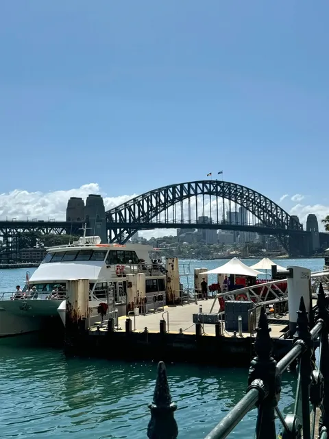 🇦🇺 Sydney Whale Watching Guide | First-Timer’s Review