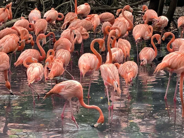 Cartagena: Hot, Romantic & Full of Surprises 💃🌴