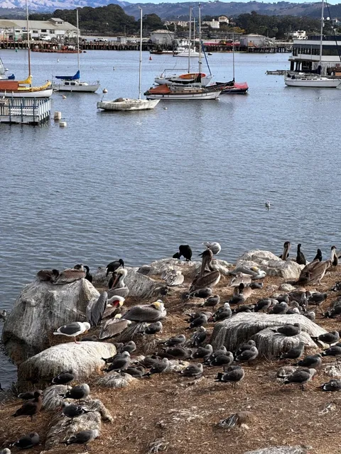 One Highway Road Trip