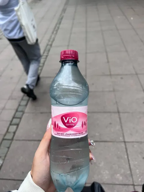 🇩🇪 Frankfurt CityWalk in One Day