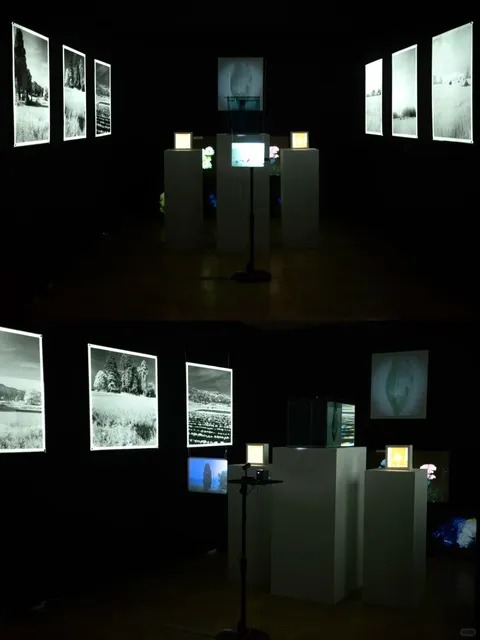 Tokyo University of the Arts Graduation Exhibition 🎨