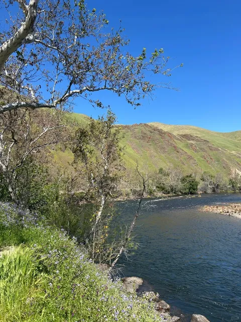 Pine Flat Lake: A Hidden Gem of Wildflowers and Lakeside Bliss 🌸