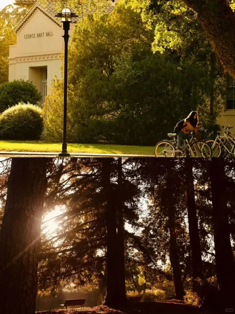 🍂 Stunning University Campuses in Sacramento for Fall Foliage 🍁