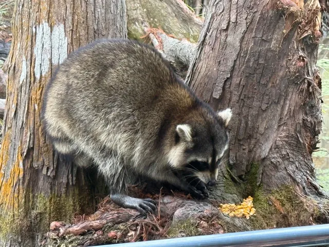 New Orleans Travel Guide – The Fun Stuff! 🎭🌿