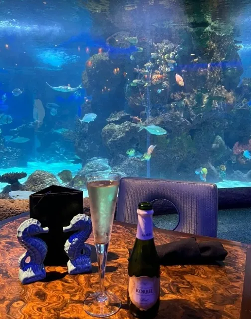 🐠 Celebrating a Birthday in a Giant Aquarium?