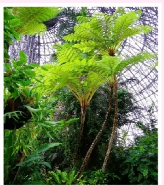 ✨ Tokyo Must-Visit Spots 📸