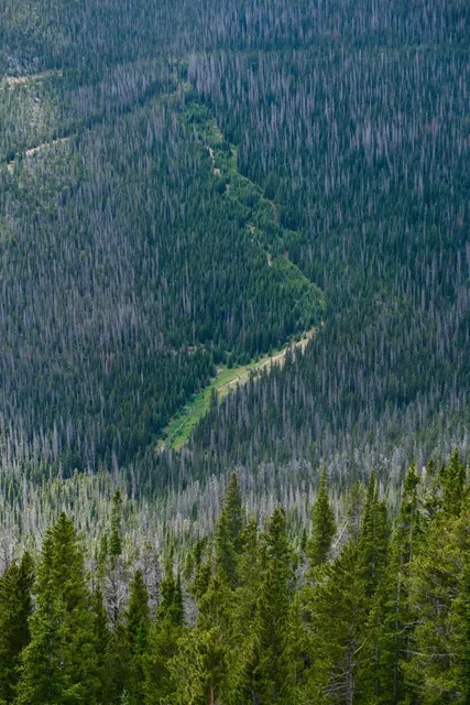 Promise Me You Won’t Visit Denver in August! 🥵🙏