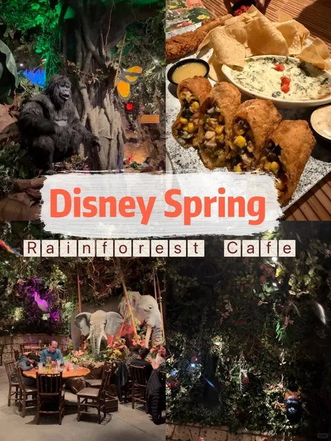  Orlando Disney Rainforest Cafe Adventure  🌴🍽️✨  