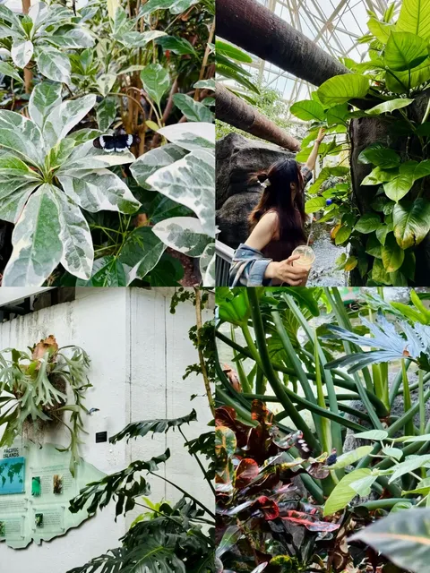 🌟 Columbus Underrated | One-Day Eat & Explore Guide 🚗🍴