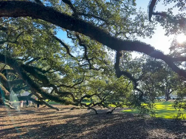 New Orleans Downtown Travel Guide