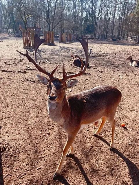 Berlin | A Great Weekend Hiking Spot 🫎