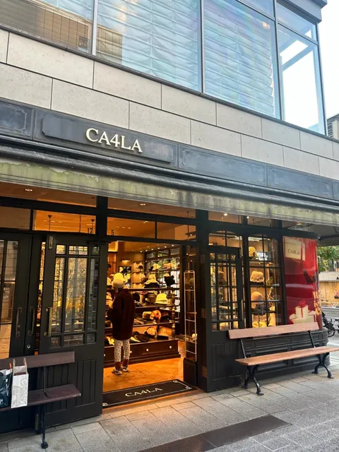 Tokyo Travel Recommendations 🌆