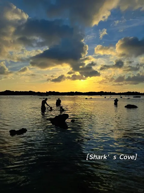 O‘ahu’s 7 “Insta-Blue” Sea-Spots – Quick-Hit Guide