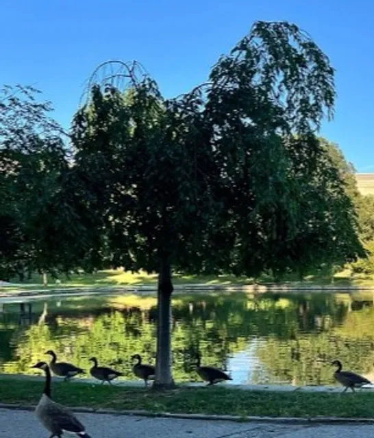 🌅 Voinovich Bicentennial Park | Cleveland's Lakefront Living Room
