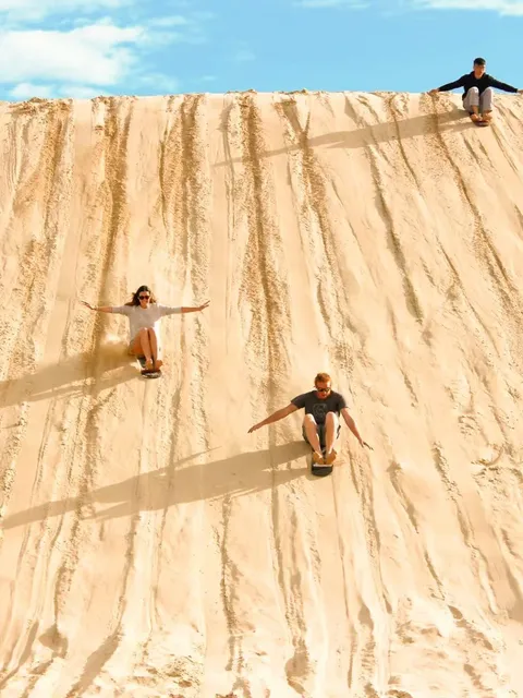 🟧🈵Sydney Day Tour Weekend Route - Newcastle Koala Sand Slide🧡📗❤️