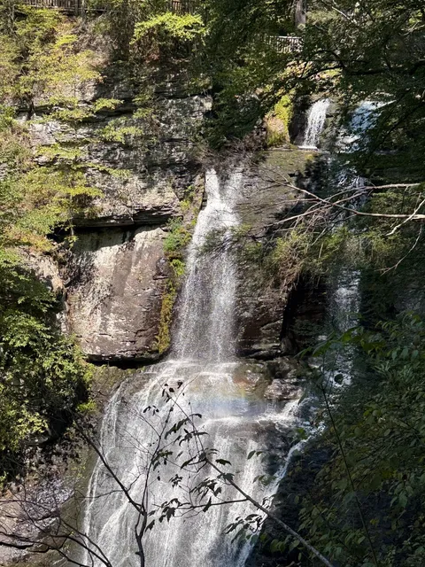 Bushkill Falls Adventure | A Pup's Ultimate Test of Stamina 🐾💦  