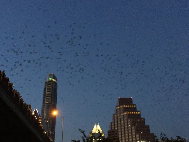 🌌 Batman Meets F1: Austin’s Bat Spectacle!