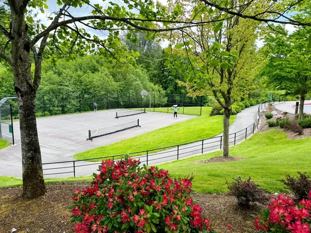 ​​Lewis Creek Park | Bellevue's Hidden Family Playground 🌳🐍​​