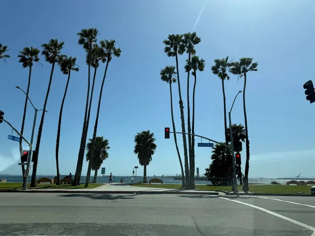 🇺🇸 Long Beach, California: Coastal Charm Meets Urban Energy 🌊🌴