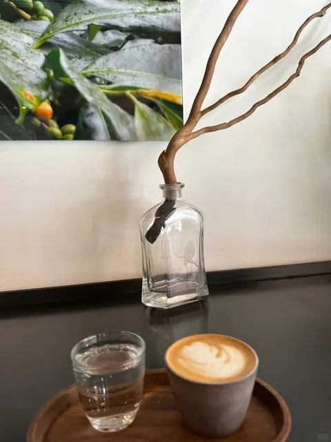 Owl Cafe in Denver – Embracing the Chill Vibes! 🦉❄️