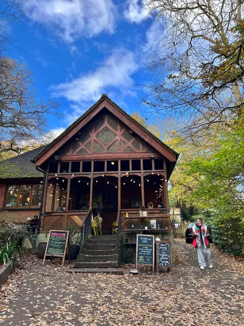 Enjoying the rare London sunshine in a forest cabin after exams 🌞️