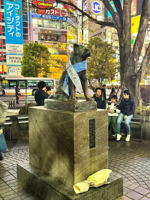 🌿🍃 Shibuya Station in Tokyo 🌸🌺