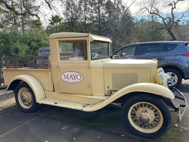 Love, Love, Loved This Tour! 🍇🚐💫