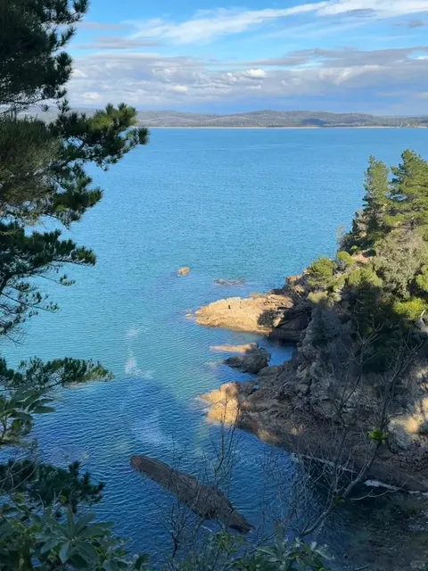 🇦🇺 Geelong Day Trip Guide 🌿🌊