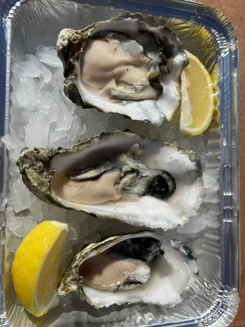 🇺🇸 Santa Barbara | Harbor 🌊