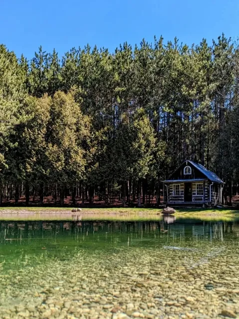 🇨🇦 Toronto's Own Fairytale Forest Escape 🌲
