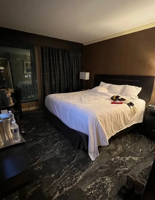 🏨 Hyatt Place Pittsburgh North Shore | Your Gateway to the Stadiums