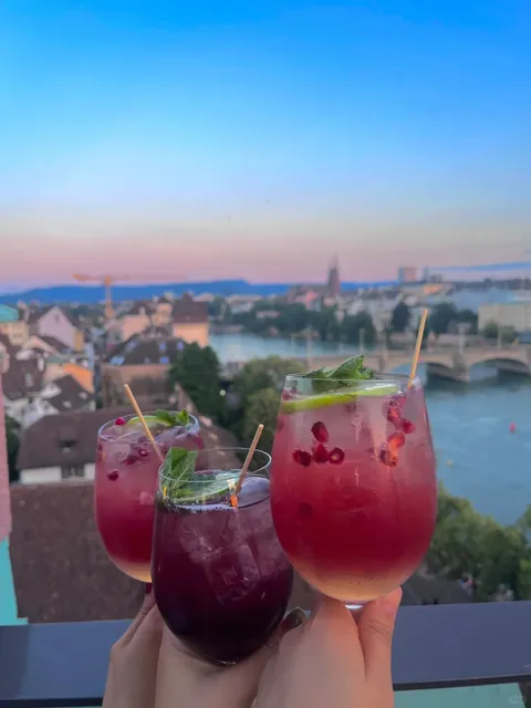 🇨🇭 Basel Rooftop Bar 🍹 The Perfect Spot for Sunsets