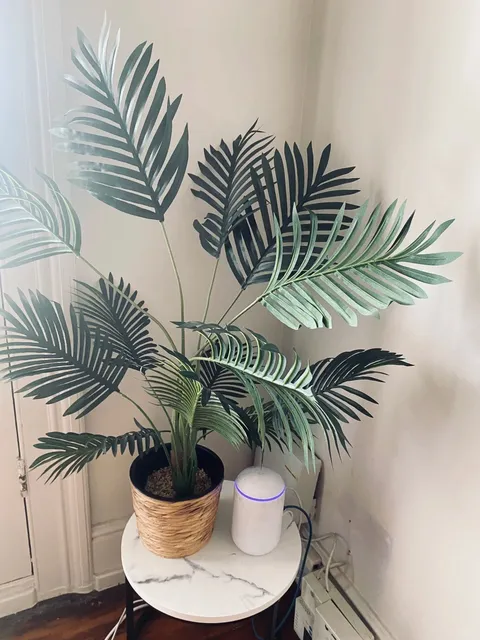 🇦🇺 Townsville Airport & Hostel Experience 🧳🏝️