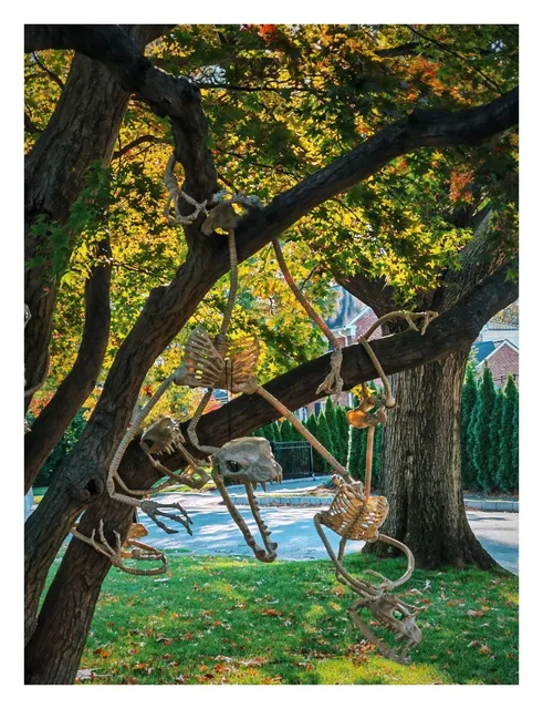 NYC Autumn: When Red Leaves Glow 🍂