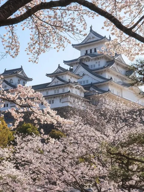  visit Himeji Castle🌸