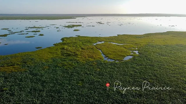 🇺🇸 Florida | Gainesville | A New Perspective 👀🌿