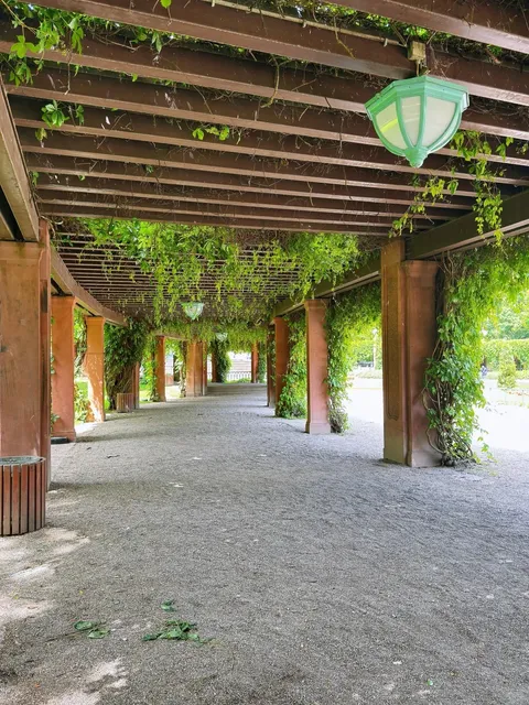 🇩🇪 Mannheim’s Whimsical Water Wonders: More Than Just Fountains! ⛲️✨