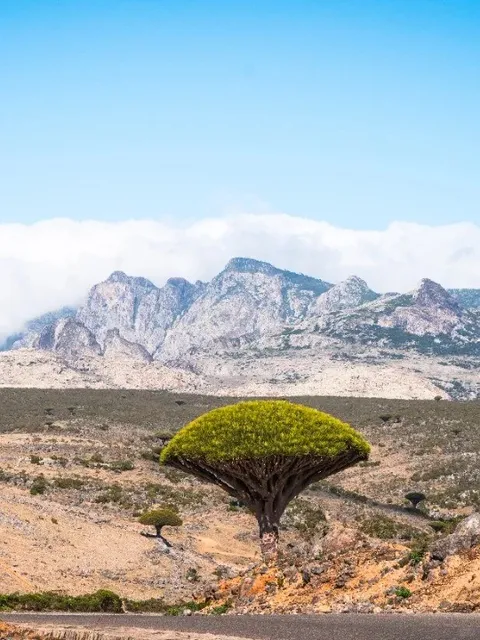 Shocked! 😲 Yemen is Full of Surprises!