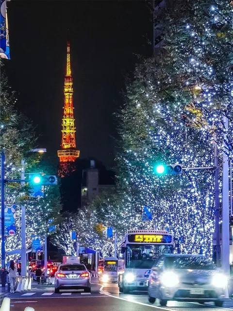 🌹 The Embodiment of Romance in Tokyo ❗