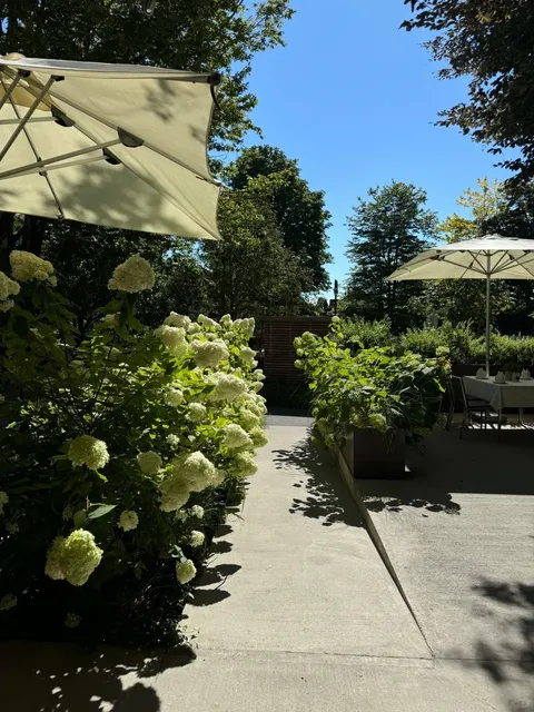 🇦🇹 Summer "Snowscape" Sunset at Bregenz's Floating Stage! ❄️