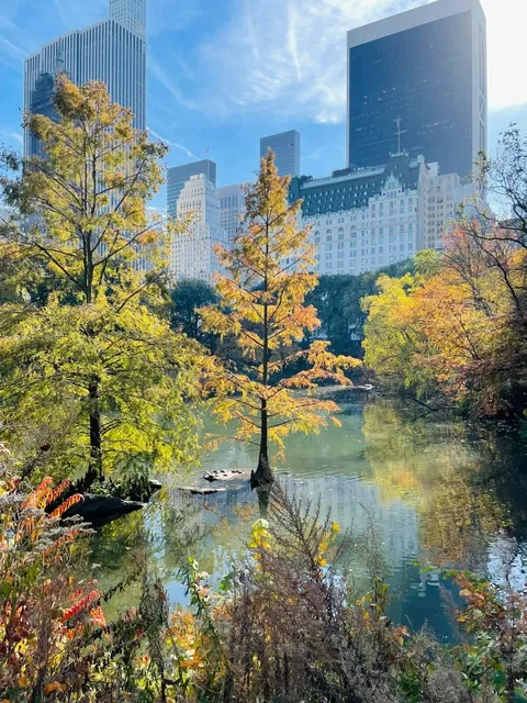 There's a Hidden Secret Garden in New York's Central Park 🌳✨